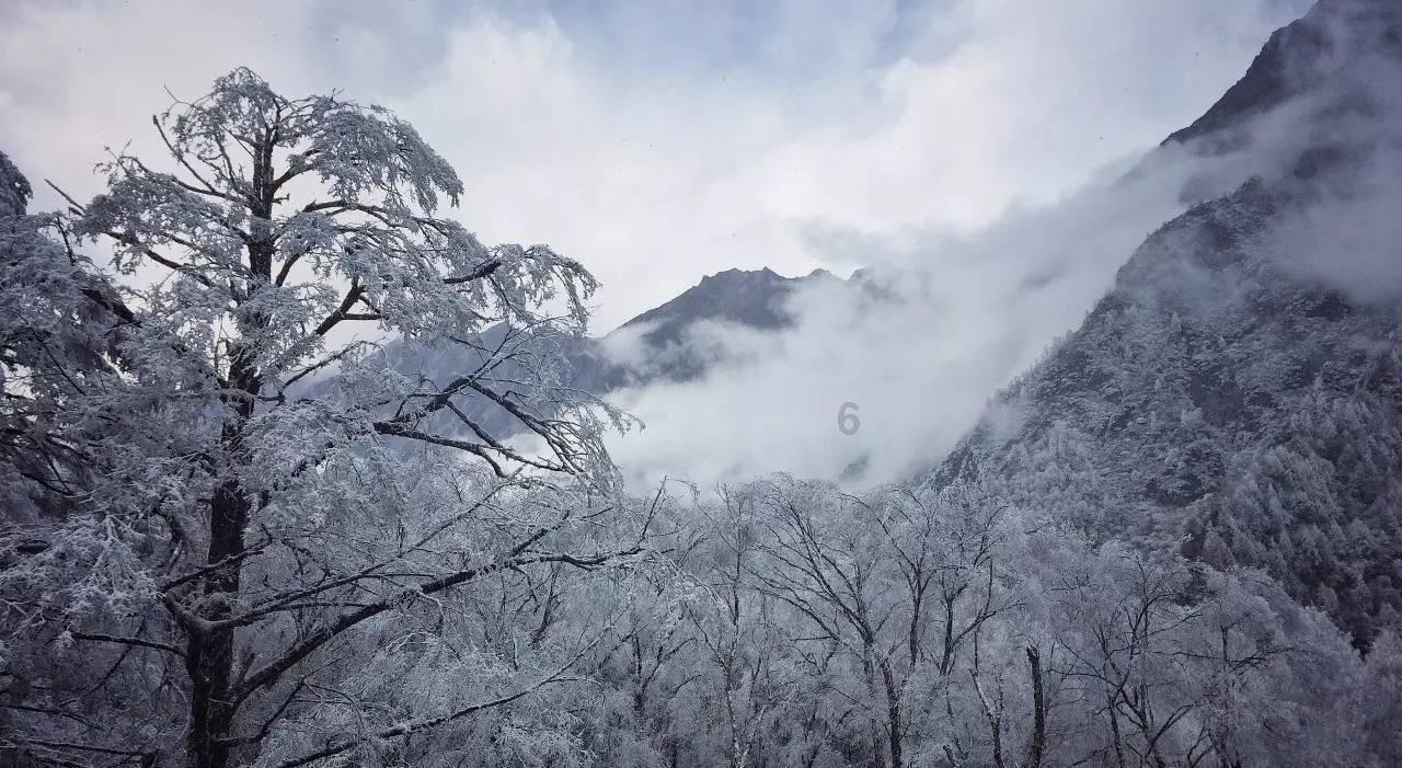 春节聚餐美味难挡 “一老一小”别吃得太烫太快